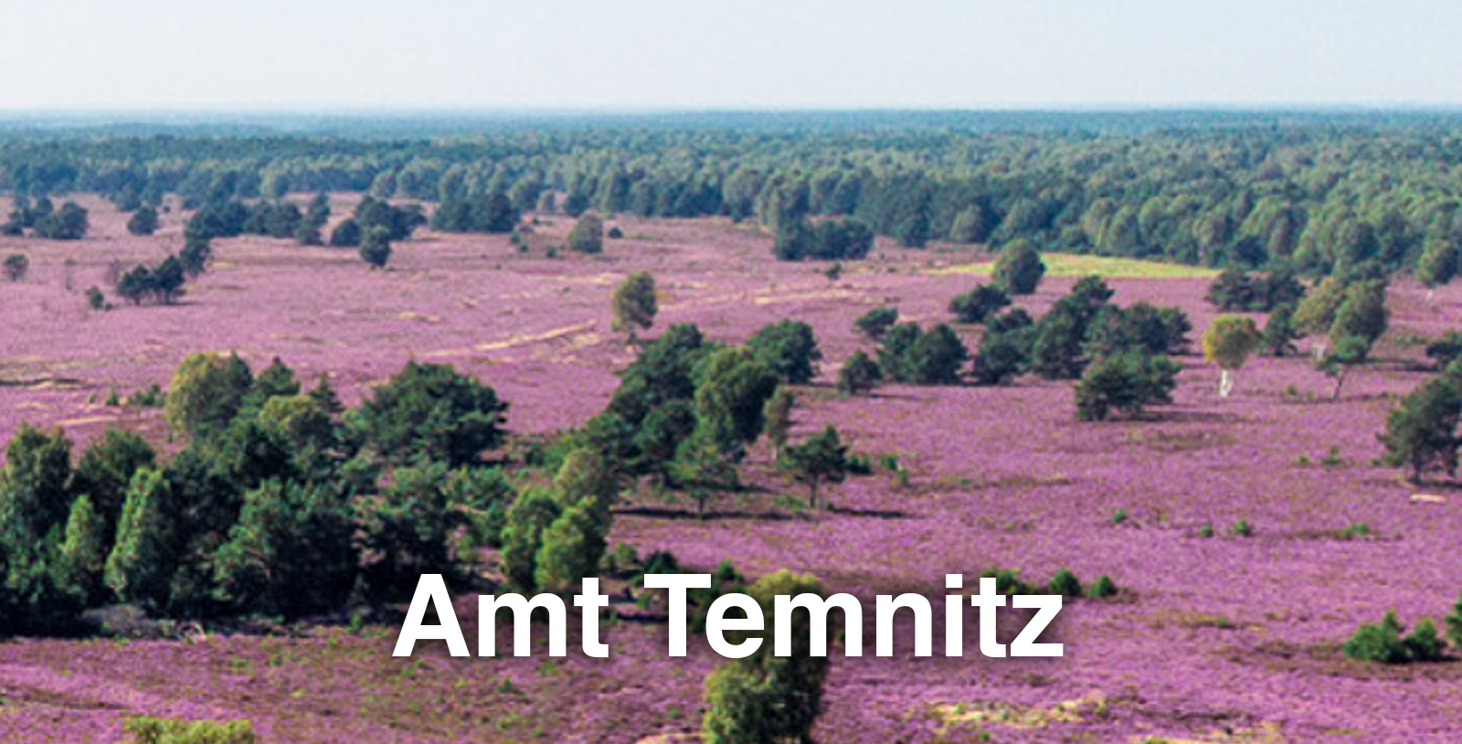 Im Amt Temnitz in der A 24 Region liegt die Heidelandschaft Kyritz-Ruppiner-Heide.